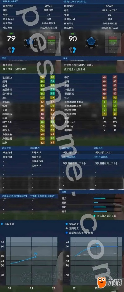 pes2013中超球员解说 详细解说pes2013中超球员的特点和技巧-第2张图片-www.211178.com_果博福布斯