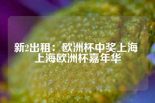 新2出租：欧洲杯中奖上海 上海欧洲杯嘉年华